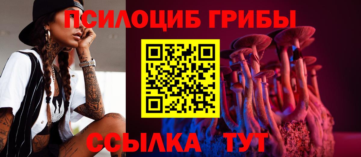 Псилоцибиновые грибы Psilocybine cubensis Наро-Фоминск