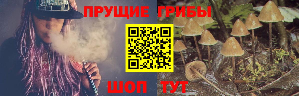 Наро-Фоминск  Галлюциногенные грибы прущие грибы  купить закладку  Вход с VPN 